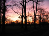 hydeparksunset1.jpg